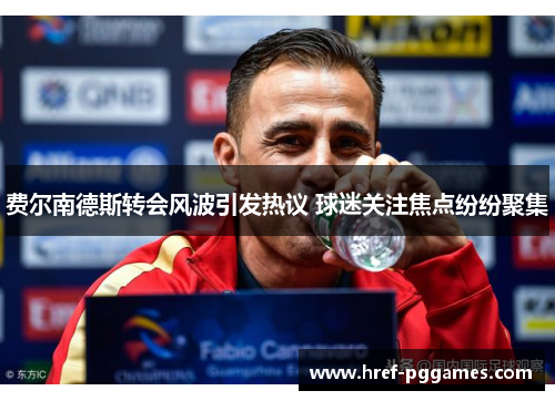 费尔南德斯转会风波引发热议 球迷关注焦点纷纷聚集