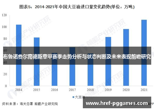 布鲁诺费尔南德斯意甲赛季走势分析与状态判断及未来表现前瞻研究